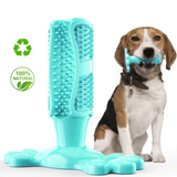 ToothCare 2.0 | Unkomplizierte & Effektive Zahnpflege für Hunde