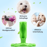 ToothCare 2.0 | Unkomplizierte & Effektive Zahnpflege für Hunde
